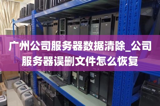 广州公司服务器数据清除_公司服务器误删文件怎么恢复