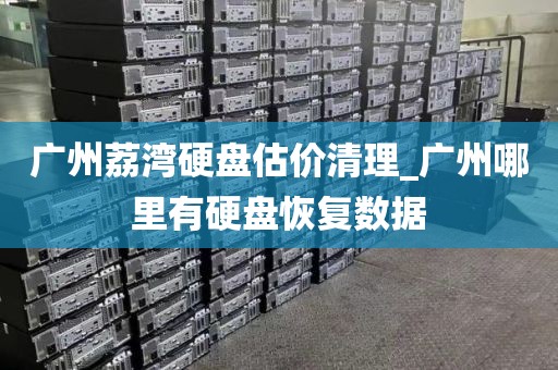 广州荔湾硬盘估价清理_广州哪里有硬盘恢复数据