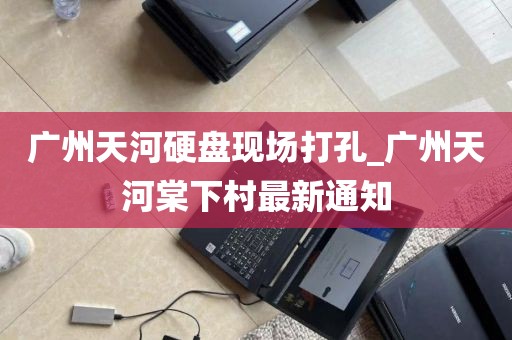 广州天河硬盘现场打孔_广州天河棠下村最新通知