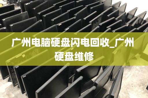 广州电脑硬盘闪电回收_广州 硬盘维修