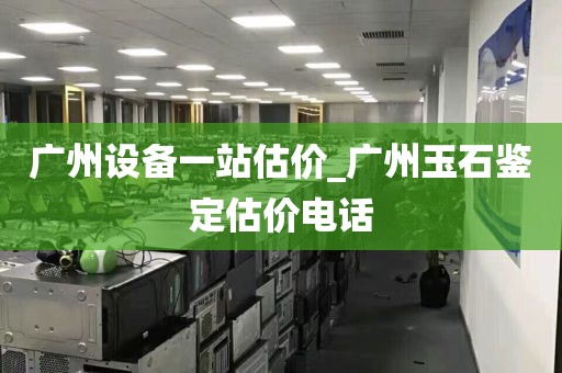 广州设备一站估价_广州玉石鉴定估价电话