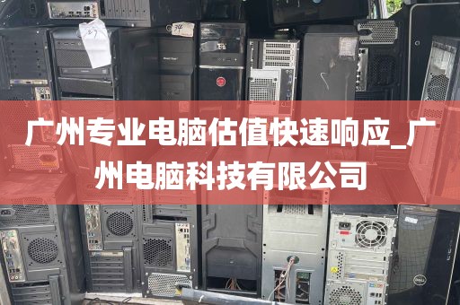 广州专业电脑估值快速响应_广州电脑科技有限公司