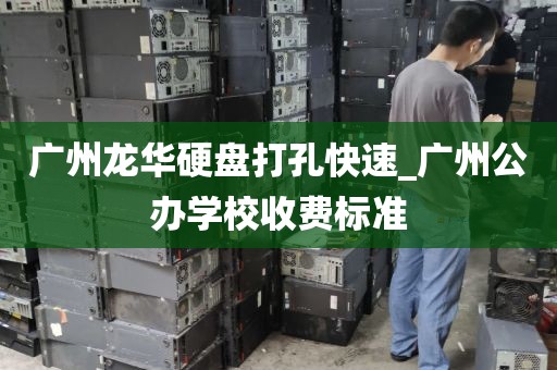 广州龙华硬盘打孔快速_广州公办学校收费标准