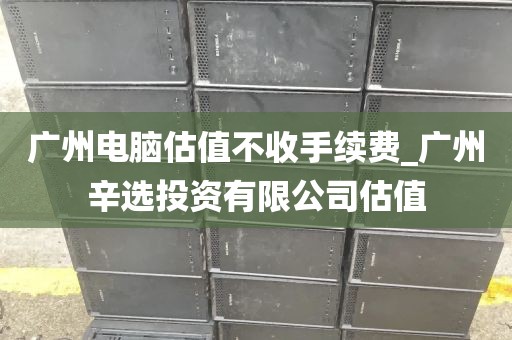广州电脑估值不收手续费_广州辛选投资有限公司估值