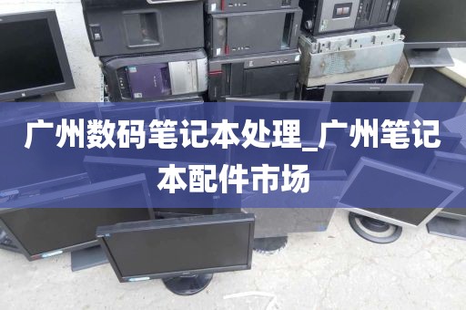 广州数码笔记本处理_广州笔记本配件市场