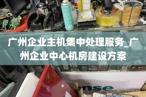 广州企业主机集中处理服务_广州企业中心机房建设方案