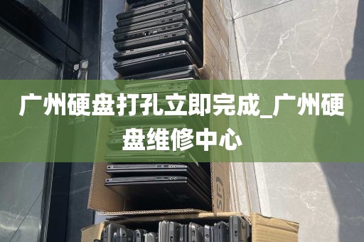 广州硬盘打孔立即完成_广州硬盘维修中心