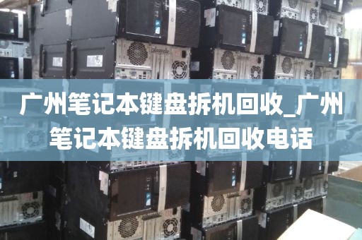 广州笔记本键盘拆机回收_广州笔记本键盘拆机回收电话