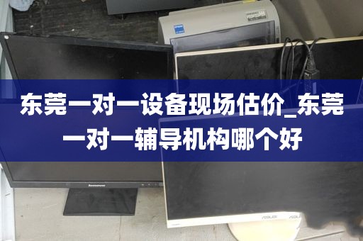 东莞一对一设备现场估价_东莞一对一辅导机构哪个好