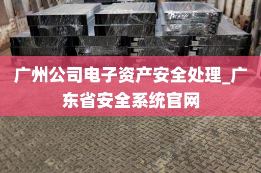 广州公司电子资产安全处理_广东省安全系统官网